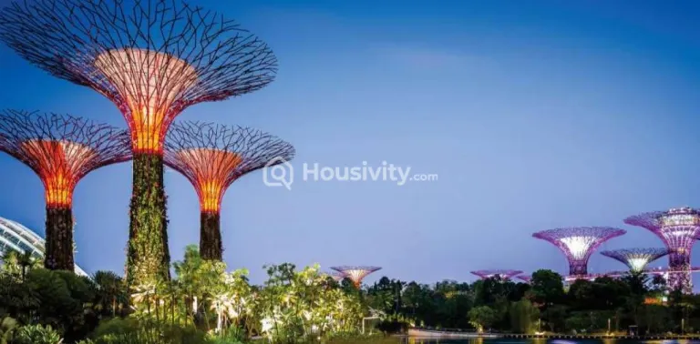 Xrbia SingaPune Image 6