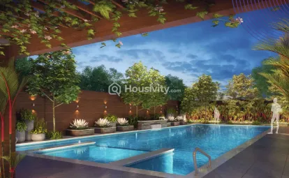 VJ Supernova Image 6