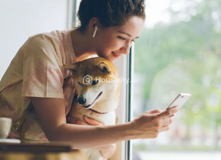 VJ Supernova Image 7