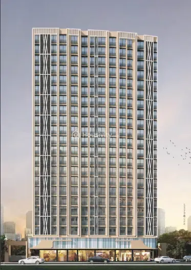 Sayba Orchid Image 1