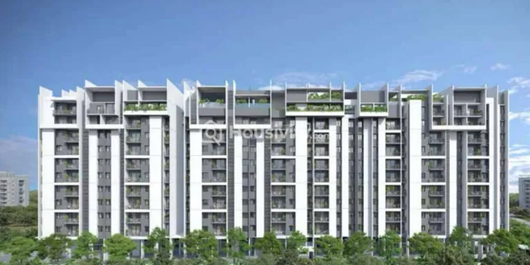 Rohan Viti Thumbnail