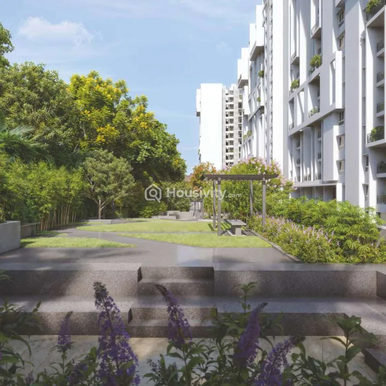 Rohan Saroha Image 5