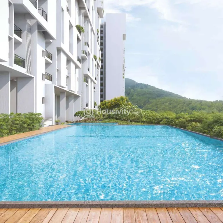 Rohan Saroha Image 6