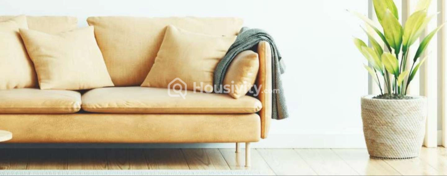 Rohan Saroha Image 3