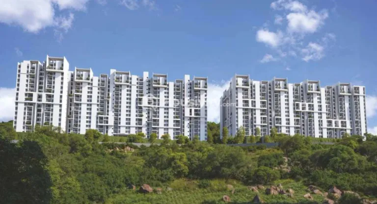 Rohan Saroha Thumbnail