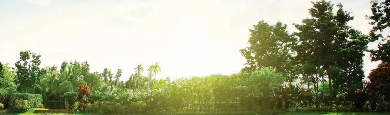 Paranjape The Cove Image 5