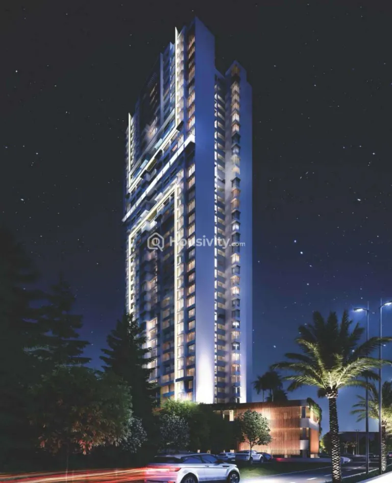 Orion - Blue Ridge Image 6