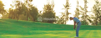 Orion - Blue Ridge Image 7