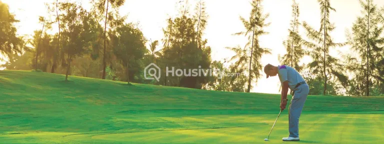 Orion - Blue Ridge Image 7