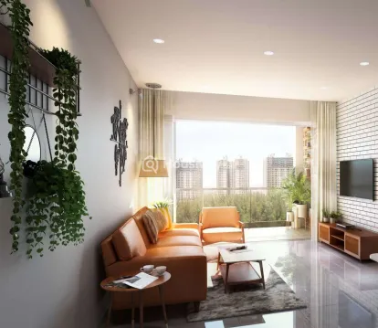 Orion - Blue Ridge Image 4