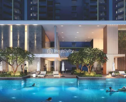 Orion - Blue Ridge Image 2