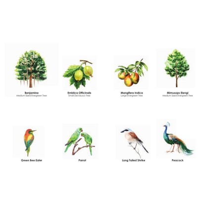 Paranjape Forest Trails Brochure Image 17