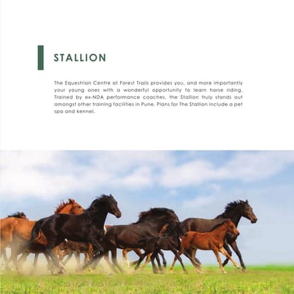 Paranjape Forest Trails Brochure Image 33