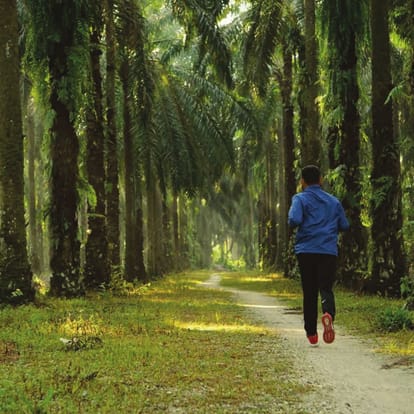 Paranjape Forest Trails Brochure Image 18