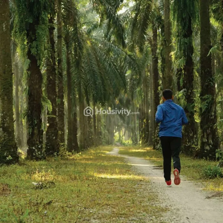 Paranjape Forest Trails Image 7