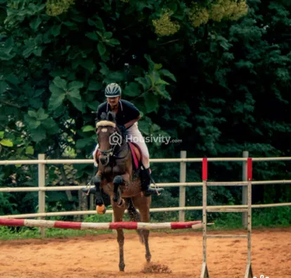 Paranjape Forest Trails Highgardens Image 5