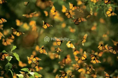 Marvel Selva Ridge Estate Image 7