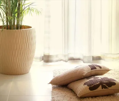 Marvel Brisa Image 2