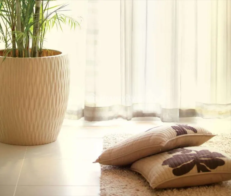 Marvel Brisa Image 2