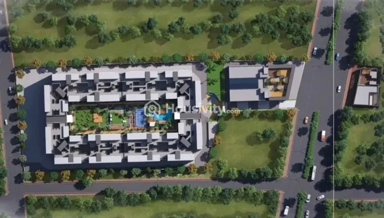 Pristine Allure 1 Image 3