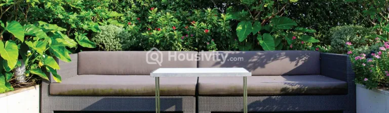 Pristine I-Life Image 5