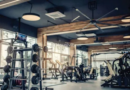 Pristine I-Life Image 8