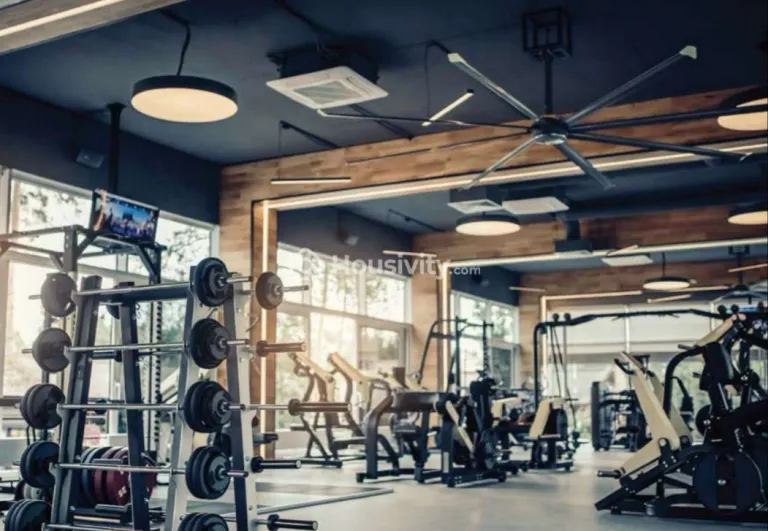 Pristine I-Life Image 8