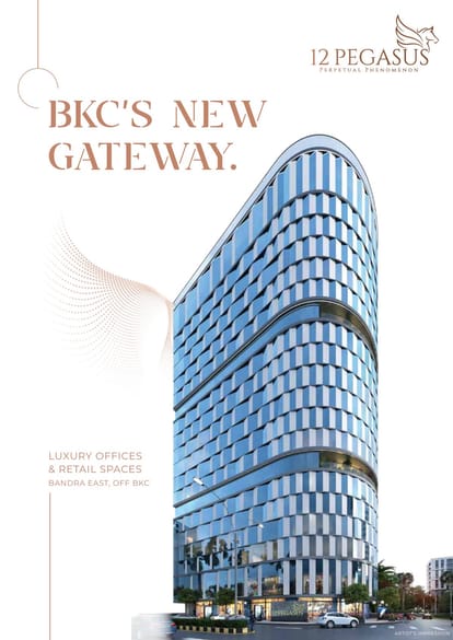 12 PEGASUS Brochure Image 1