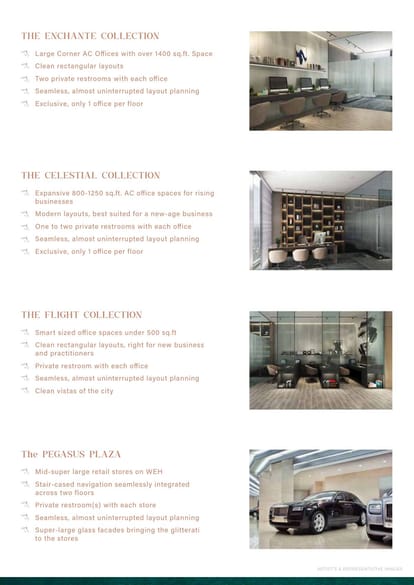 12 PEGASUS Brochure Image 6
