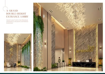 12 PEGASUS Brochure Image 3