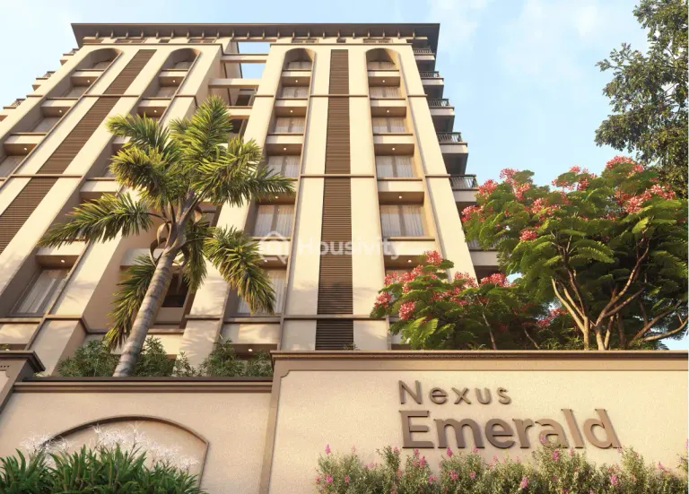 Nexus Emerald Image 2