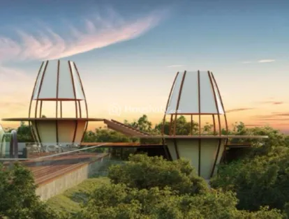 Tribeca The ARK Image 5