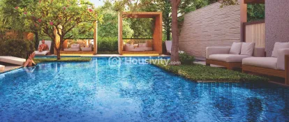 ARV Regalia Image 11