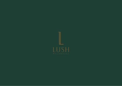 Austin Lush Residences Brochure Image 1