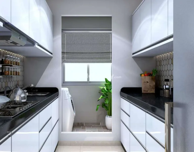 Pride Panorama Image 3