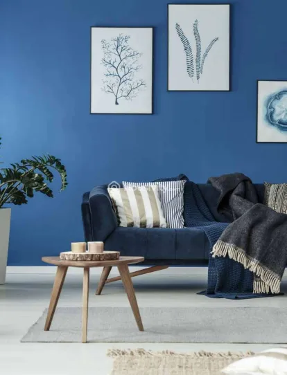 Ravetkar Janhavi Image 2