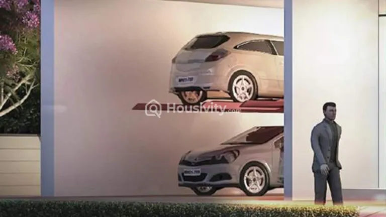 Siroya Durva Image 2