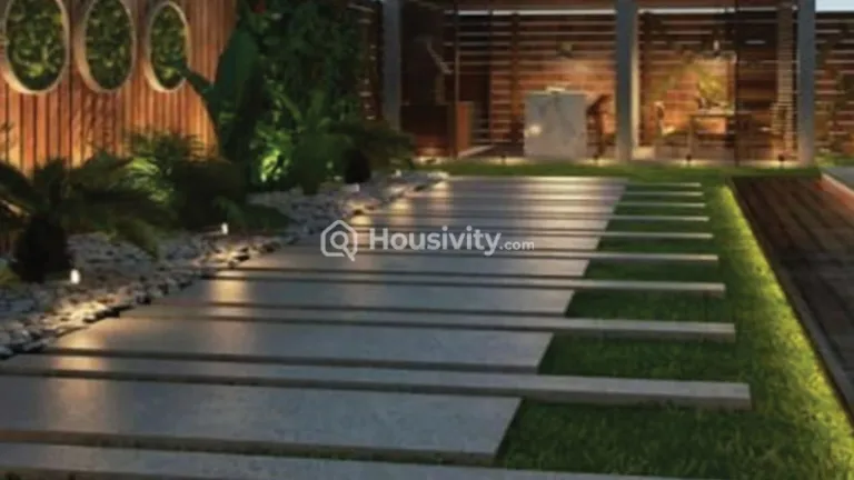 Siroya Durva Image 4