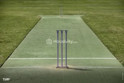 Pranami Bliss Image 5