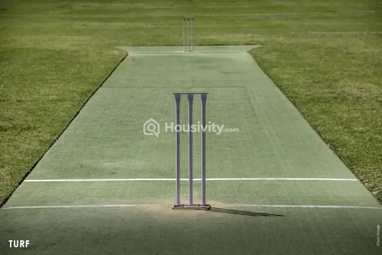 Pranami Bliss Image 5