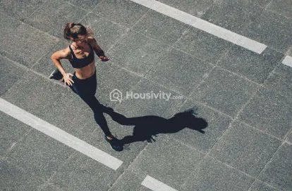 Bramha The Collection Image 4