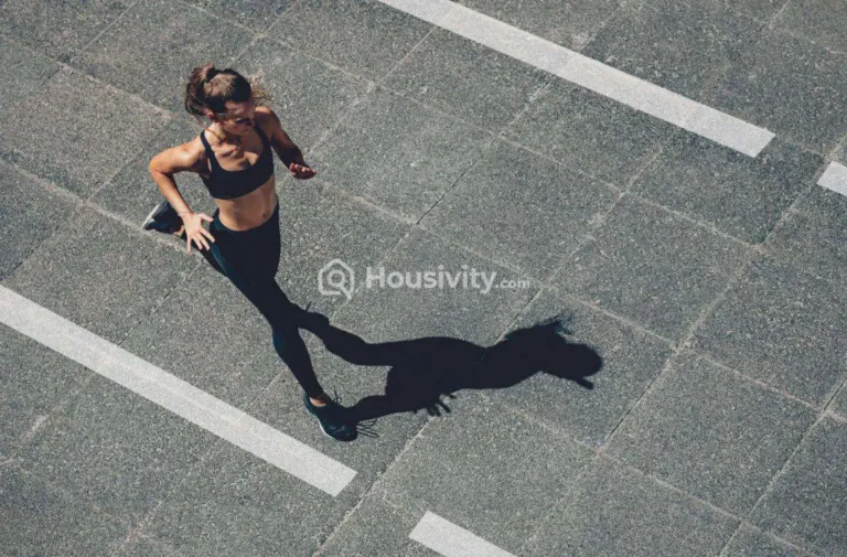 Bramha The Collection Image 4