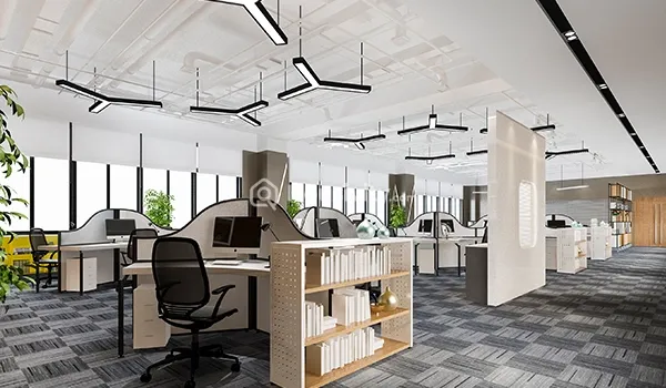 24 High Zennith Image 5