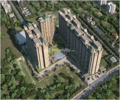 Sukhwani Kingsley Image 8