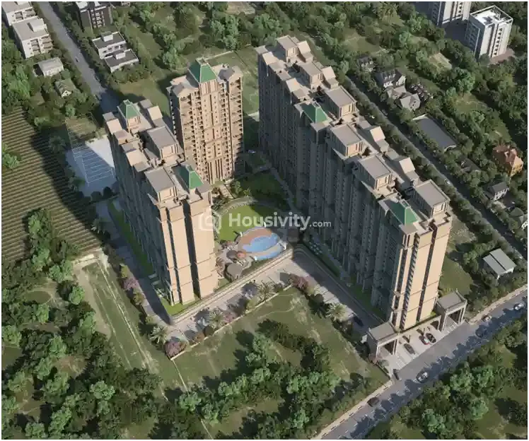 Sukhwani Kingsley Image 8