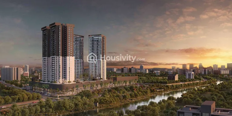 ANP Universe Image 11