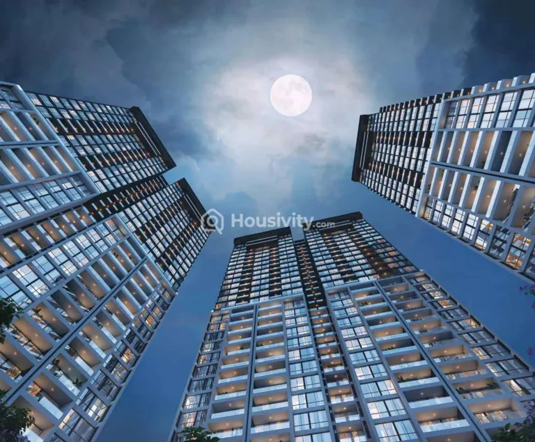 ANP Universe Image 6