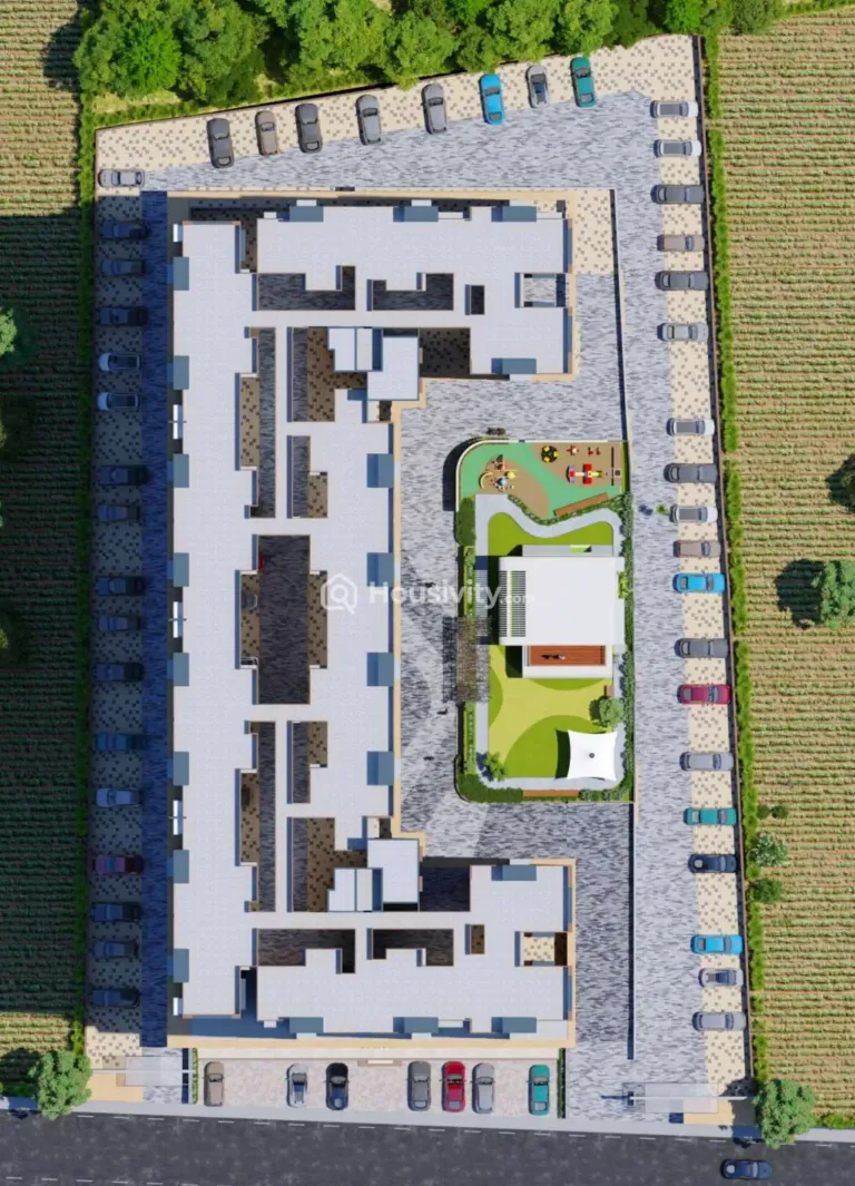 Vision Rhythm Image 6