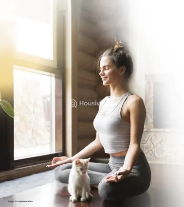 Starwing I-Stay Image 2