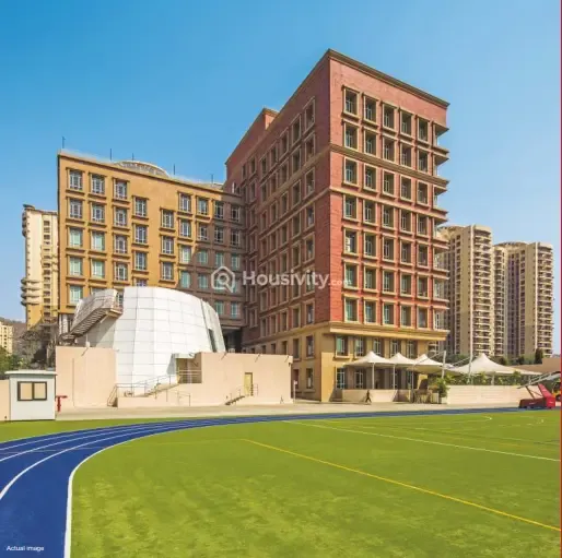 Nahar Amaryllis Image 4